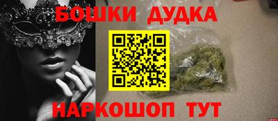 индика Мариинск